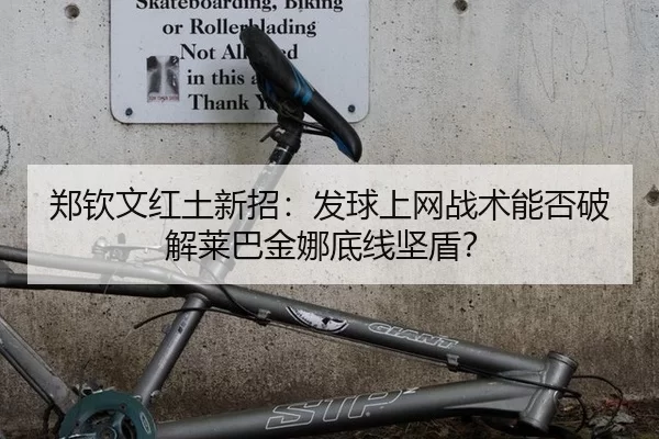 郑钦文红土新招：发球上网战术能否破解莱巴金娜底线坚盾？